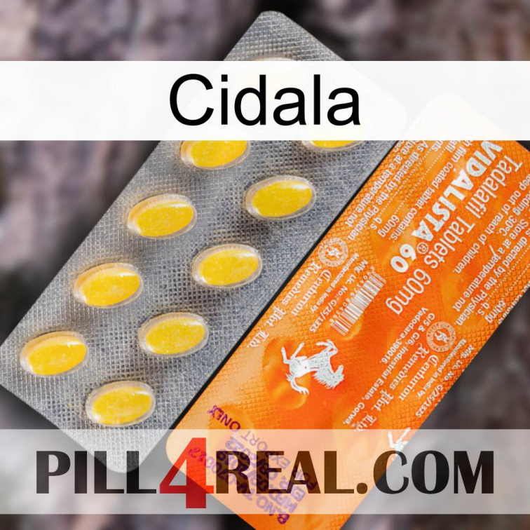 Cidala new05